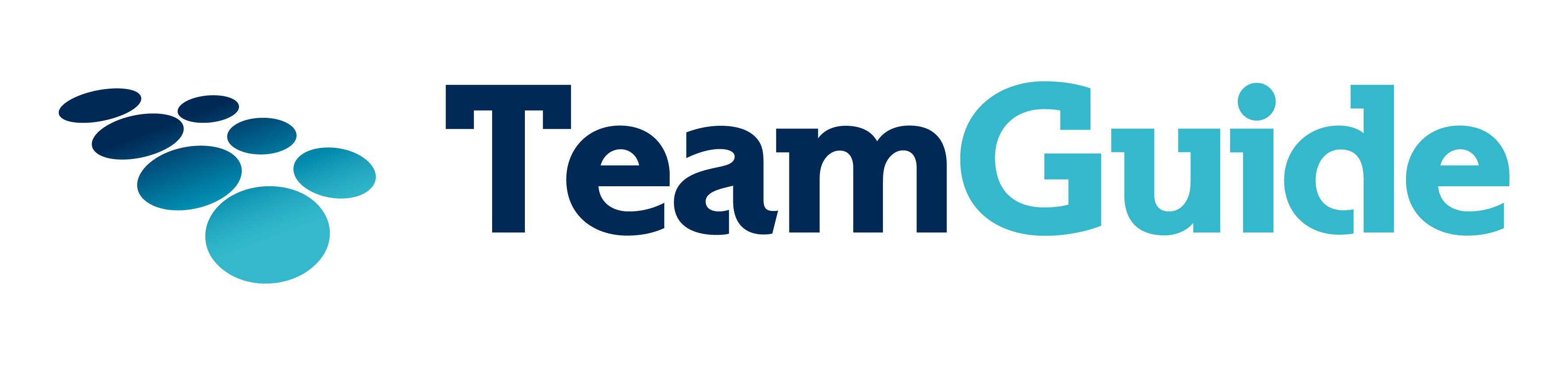 TeamGuide